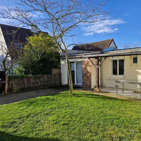 Albizia * Saint-Pair-sur-Mer