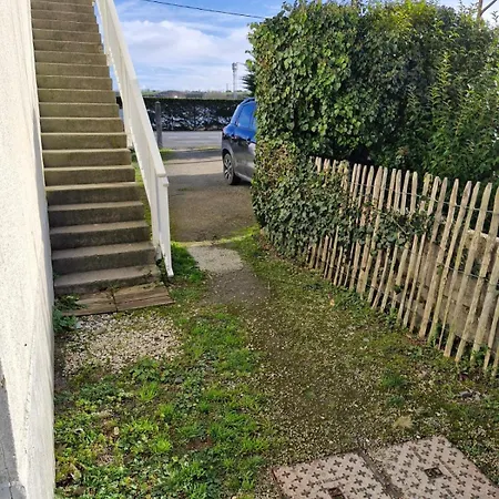 Albizia Saint-Pair-sur-Mer