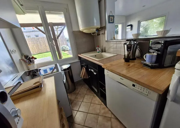 Albizia * Saint-Pair-sur-Mer