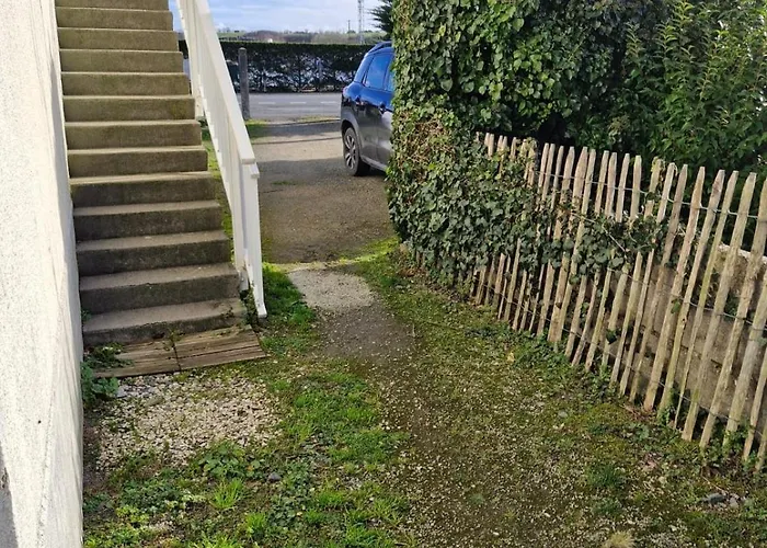 Albizia Saint-Pair-sur-Mer